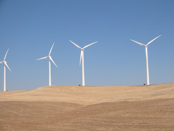 SMUD Wind Farm